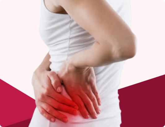 Nierenpflege — Gesundheitsprodukte