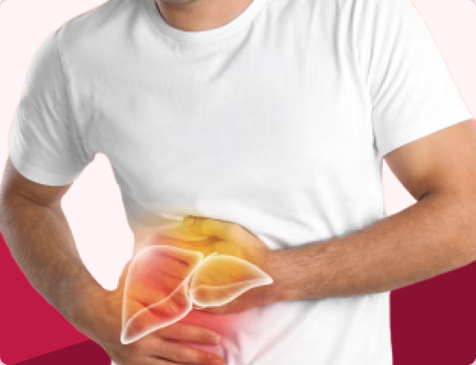 Leberpflege — Gesundheitsprodukte